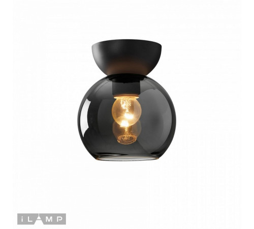 Потолочный светильник iLamp Mono C6079-1 BK+SM