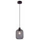 Подвесной светильник Moderli Olivia V11034-1P