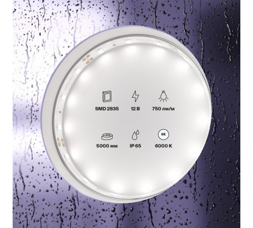 Светодиодная лента Maytoni Led Strip 12В 2835 7,2Вт/м 6000K 5м IP65 20006 Светодиодная лента Maytoni Led Strip 12В 2835 7,2Вт/м 6000K 5м IP65 20006