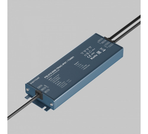 Источник напряжения Maytoni Triac 60Вт DC24В IP67 734001