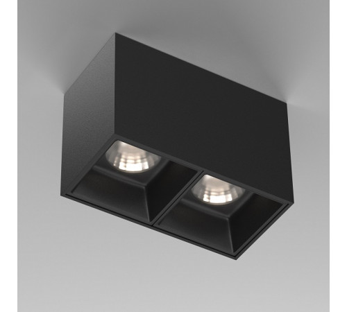 Накладной светильник Maytoni Alfa LED C065CL-02-L12W4K-B