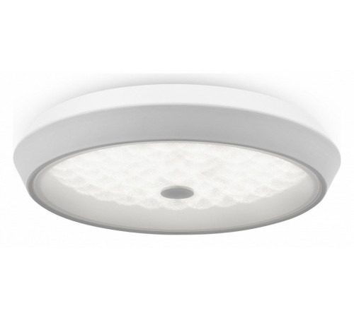 Потолочный светильник Freya Cells FR10012CL-L24W