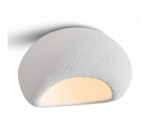 Потолочный светильник Freya Mound FR5428CL-01W