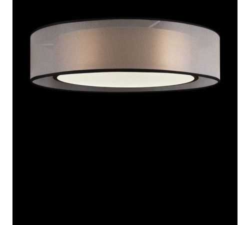 Потолочный светильник Freya Zoticus FR6005CL-L36G