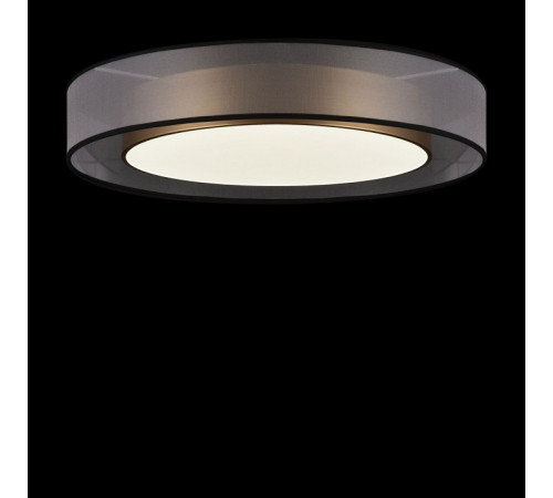 Потолочный светильник Freya Zoticus FR6005CL-L48G
