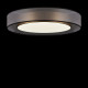 Потолочный светильник Freya Zoticus FR6005CL-L48G