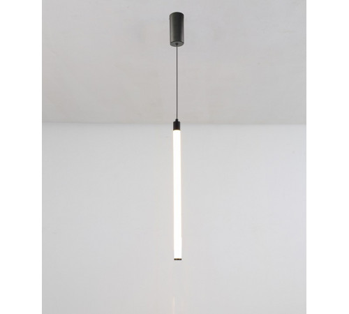 Подвесной светодиодный светильник Maytoni Technical Ray P022PL-L10B