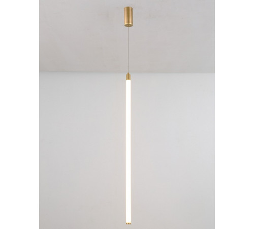 Подвесной светодиодный светильник Maytoni Technical Ray P022PL-L20G3K