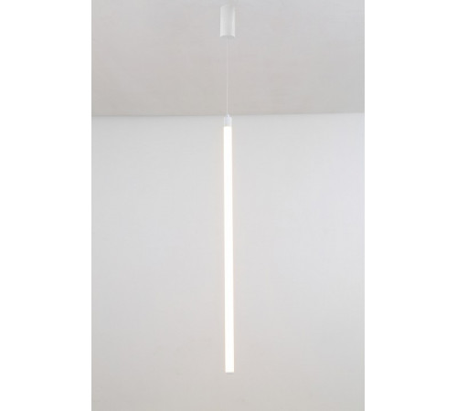 Подвесной светодиодный светильник Maytoni Technical Ray P022PL-L20W3K