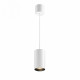 Подвесной светильник Maytoni Vol P100PL-20W3K-B