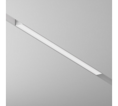 Трековый светильник Maytoni Technical BASIS TR012-2-20W4K-W