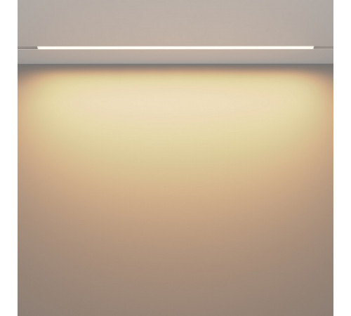 Трековый магнитный светильник Maytoni Basis TR030-4-30W3K-WW-DS-W