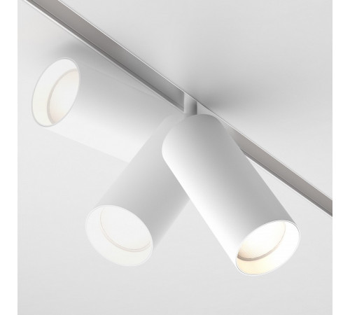 Трековый магнитный светильник Maytoni Focus LED TR032-2-20W4K-S-W