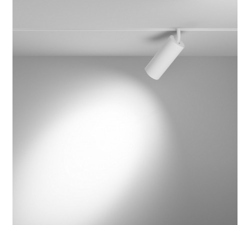 Трековый магнитный светильник Maytoni Focus LED TR032-4-20W3K-S-DS-W