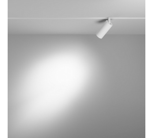 Трековый магнитный светильник Maytoni Focus LED TR032-4-5W3K-S-DS-W Трековый магнитный светильник Maytoni Focus LED TR032-4-5W3K-S-DS-W