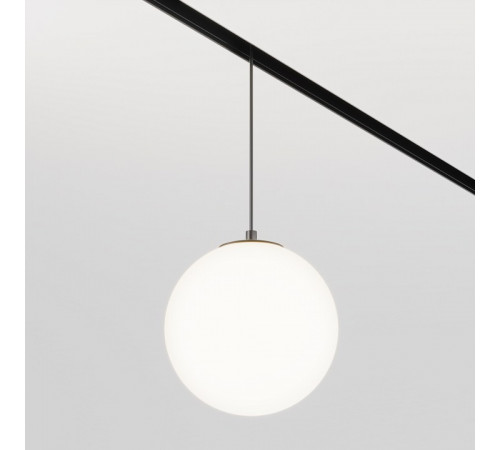 Трековый подвесной светильник Maytoni Luna TR039-2-5W4K