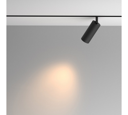 Трековый магнитный светильник Maytoni Artisan TR097-2-12W3K-M-BB