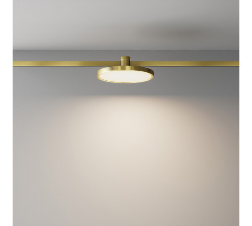 Трековый магнитный светильник Maytoni Plato TR153-1-10W3K-BS