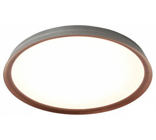 Потолочный светильник Mizi en Titan MZ31502-430