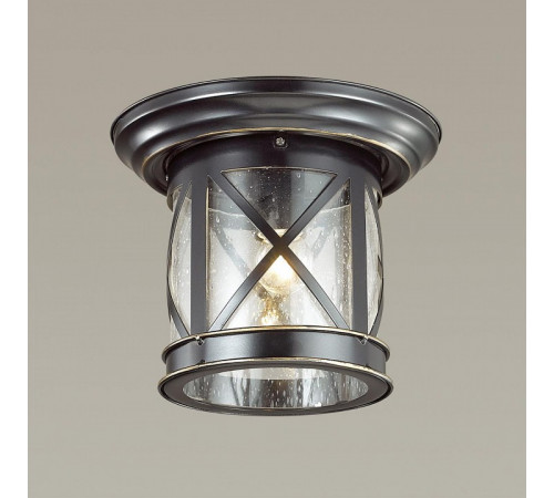 Уличный светильник Odeon Light Sation 4045/1C Уличный светильник Odeon Light Sation 4045/1C