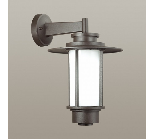 Уличный настенный светильник Odeon Light Mito 4047/1W