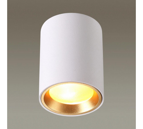 Накладной светильник Odeon Light 4206/1C