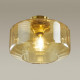 Потолочный светильник Odeon Light BINGA 4747/1C