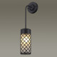 Настенный светильник Odeon Light 4834/1W