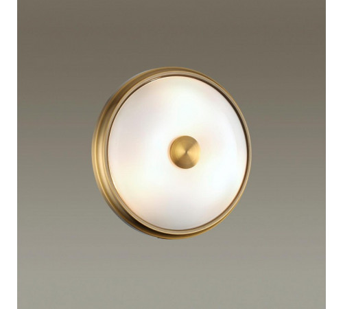 Настенно-потолочный светильник Odeon Light Pelow 4956/2