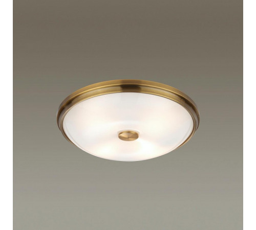 Настенно-потолочный светильник Odeon Light Pelow 4956/4