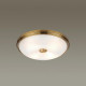 Настенно-потолочный светильник Odeon Light Pelow 4956/4