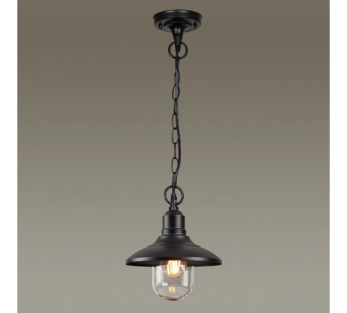 Уличный подвесной светильник Odeon Light Campa 4965/1 Уличный подвесной светильник Odeon Light Campa 4965/1