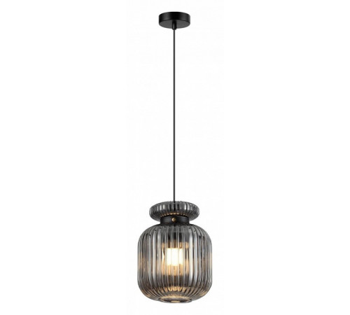 Подвесной светильник Odeon Light Jugi 5042/1B