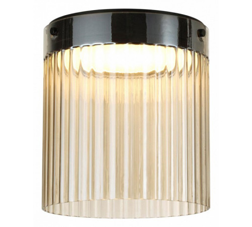 Накладной светильник Odeon Light Pillari 5047/20LC Накладной светильник Odeon Light Pillari 5047/20LC