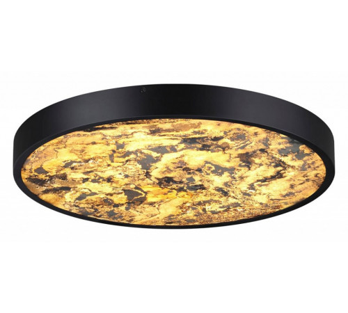 Настенно-потолочный светильник Odeon Light Bergi 5064/40L