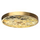 Настенно-потолочный светильник Odeon Light Bergi 5079/40L