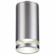 Уличный потолочный светильник Odeon Light Motto 6604/1C