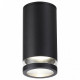 Уличный потолочный светильник Odeon Light Motto 6605/1C