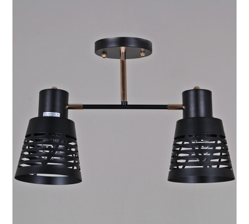 Потолочный светильник Reluce 06074-3.3-02 BK+FG
