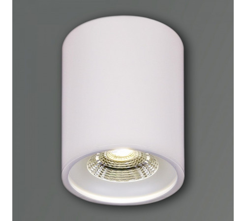 Накладной светильник Reluce 81117-9.5-001RT LED10W WT
