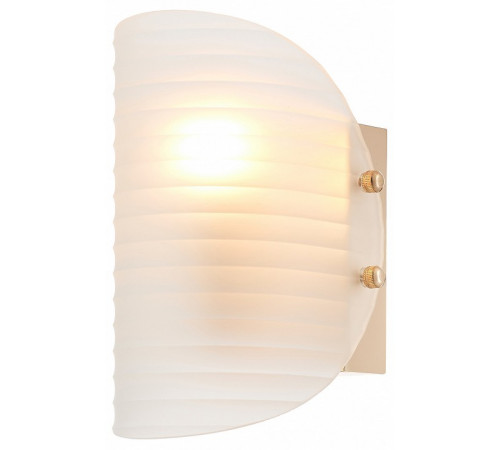 Настенный светильник Rivoli Mariana 3178-210 Б0066487