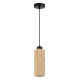 Подвесной светильник ST Luce Earthy SL1194.413.01