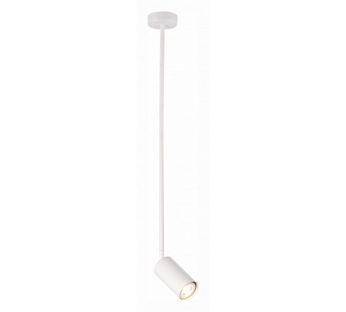 Подвесной светильник ST Luce Sormano SL1206.503.01