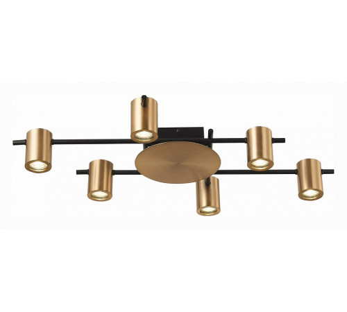 Потолочная люстра ST Luce Veroli SL1207.402.06