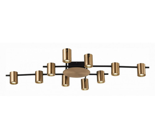 Потолочная люстра ST Luce Veroli SL1207.402.10