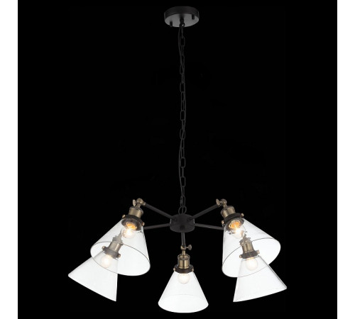Подвесная люстра ST Luce Evoluto SL237.413.05