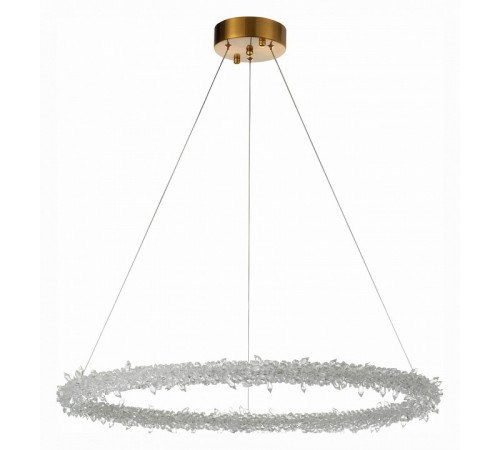 Подвесная люстра ST Luce Lucchero SL6105.213.01
