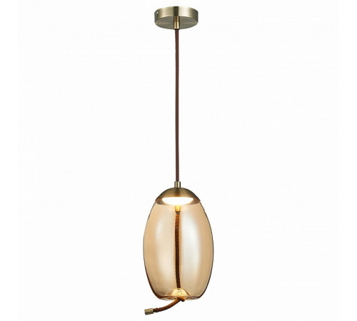 Подвесной светильник ST Luce Ozzio SL6108.333.01