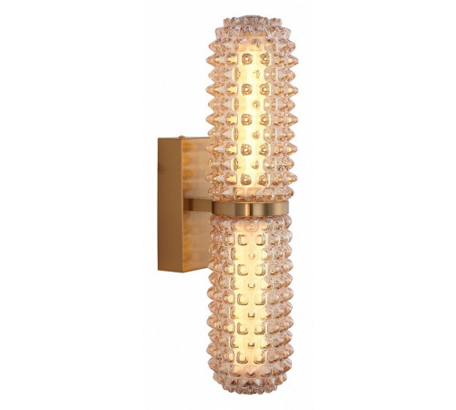 Настенный светильник ST Luce Saguaro SL6144.301.01 Настенный светильник ST Luce Saguaro SL6144.301.01