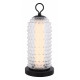 Настольная лампа ST Luce Saguaro SL6144.404.01